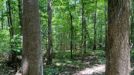 Property in Hale County, Alabama