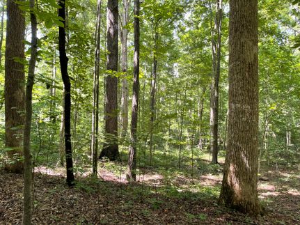 Property in Hall County, Georgia
