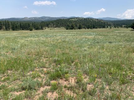 Property in Custer County, Colorado