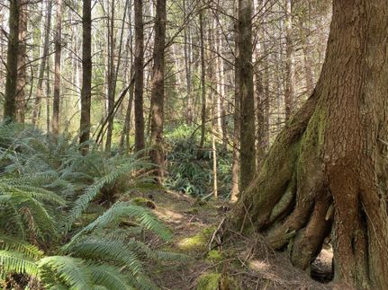 Property in Pacific County, Washington