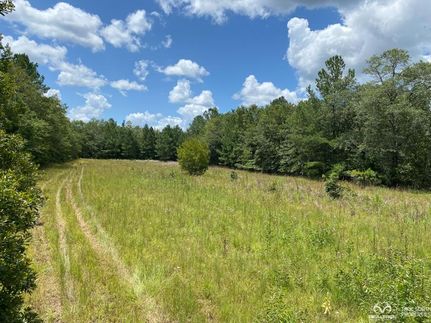 Property in Jasper County, South Carolina