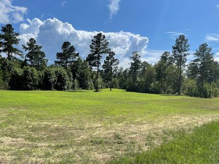 Property in Screven County, Georgia