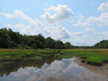 Property in Saint Lawrence County, New York