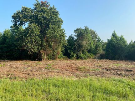 Property in Cass County, Texas