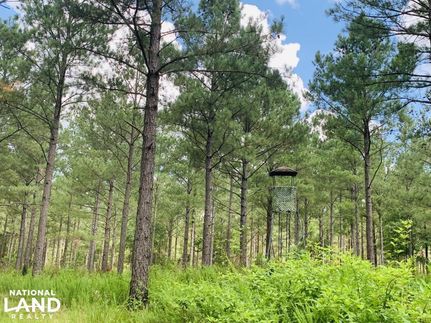 Property in Chester County, South Carolina