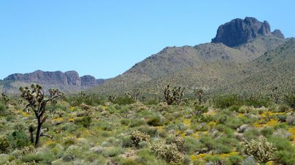 Property in Mohave County, Arizona