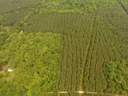 Property in Dallas County, Arkansas