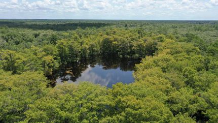 Property in Dixie County, Florida