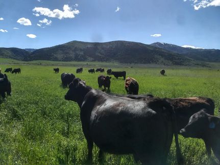 Property in Bannock County, Idaho