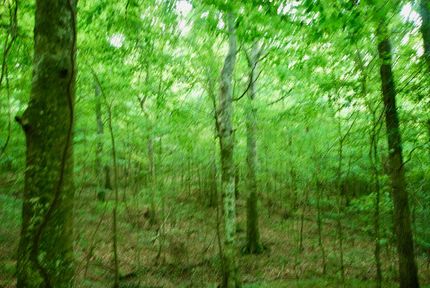 Property in Decatur County, Tennessee