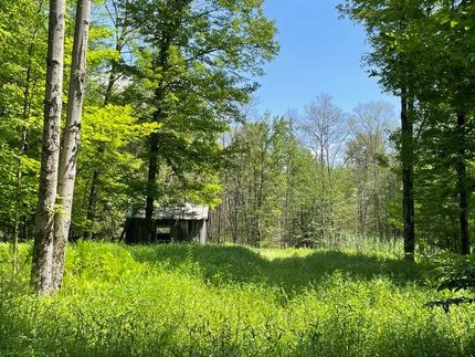 Property in Oneida County, New York