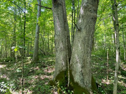 Property in Fayette County, Pennsylvania