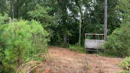 Property in Bowie County, Texas