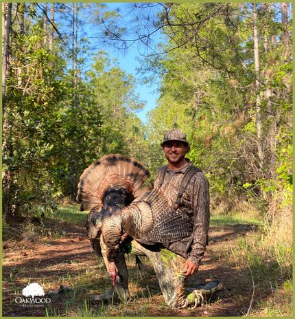 Property in Flagler County, Florida