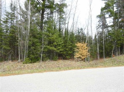 Property in Delta County, Michigan