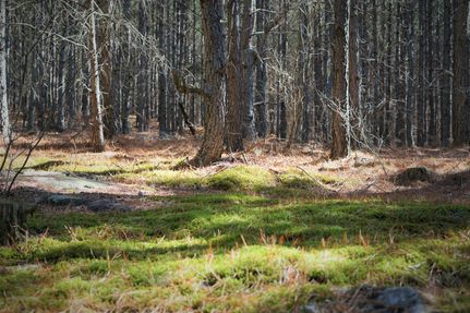 Property in Hamilton County, Tennessee