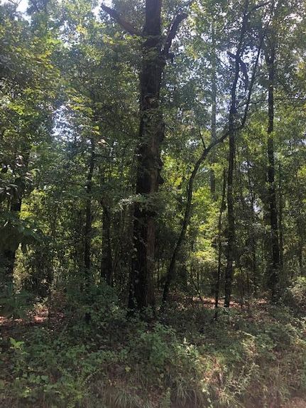 Property for sale in Bulloch County, Georgia