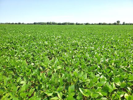 Property in Erie County, Ohio