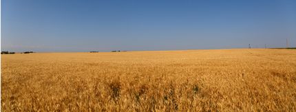 Property in Cheyenne County, Nebraska