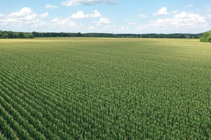 Property in Vermilion County, Illinois