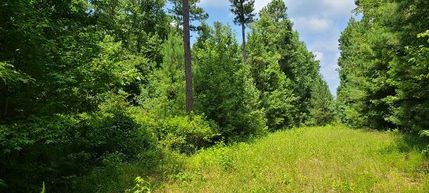 Property in Crawford County, Georgia