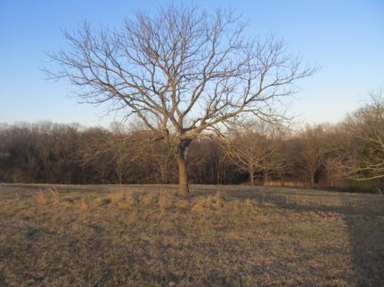 Property in Carroll County, Arkansas