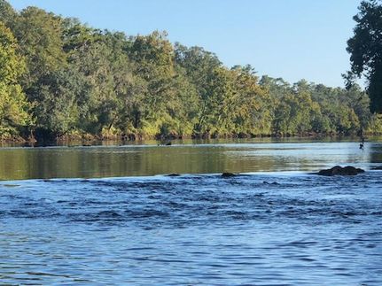 Property in Mitchell County, Georgia