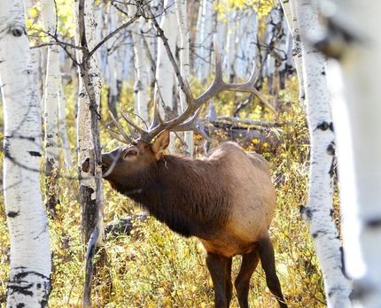 Property in Sevier County, Utah