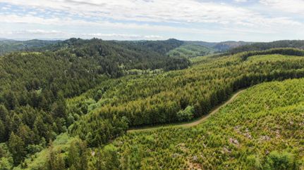 Property in Grays Harbor County, Washington