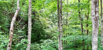 Property in Mercer County, West Virginia