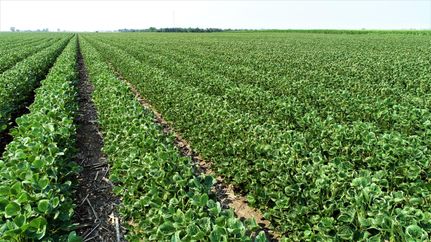 Property in Miner County, South Dakota