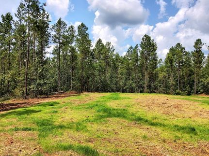 Property in Chambers County, Alabama