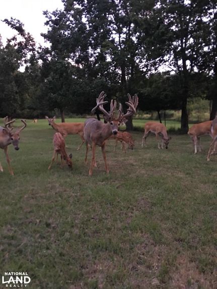 Property in Sumter County, Alabama