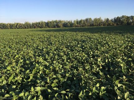 Property in Lake of the Woods County, Minnesota