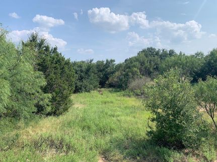 Property in Llano County, Texas