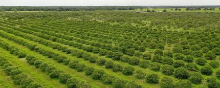 Property in Hardee County, Florida