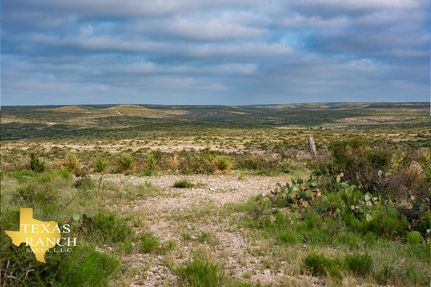 Property in Terrell County, Texas