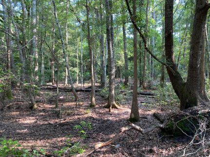 Property in Glynn County, Georgia