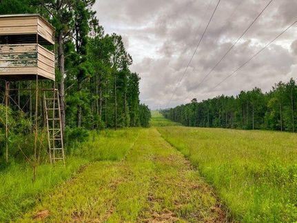 Property in Johnson County, Georgia