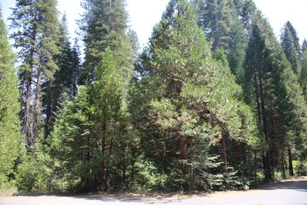 Property in Mariposa County, California