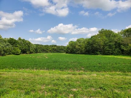 Property in Pike County, Missouri