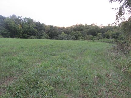 Property in Mason County, Kentucky