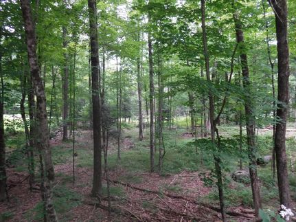 Property in Hampden County, Massachusetts