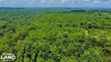 Property in Jefferson County, Alabama