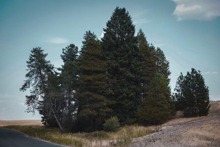 Property in Latah County, Idaho