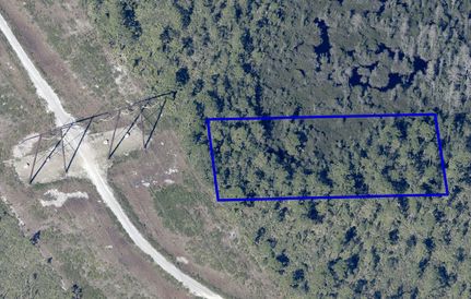 Property in Orange County, Florida