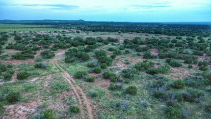 Property in Knox County, Texas