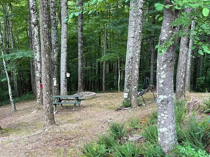 Property in Wilkes County, North Carolina