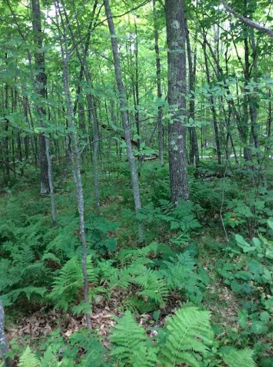 Property in Carlton County, Minnesota