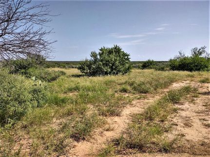Property in Dimmit County, Texas